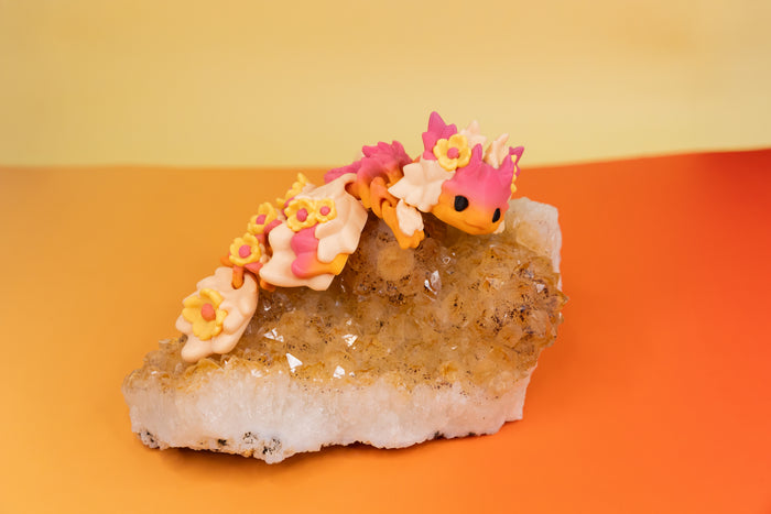 Kosha Dragon