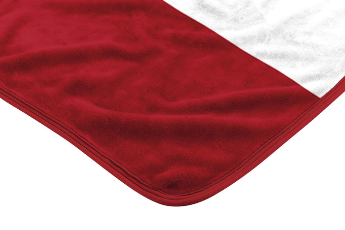 Northwest NBA Houston Rockets Legion Raschel Throw, 50" x 60"