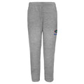 Outerstuff NCAA Kids (4-7) Florida Gators Essential Fleece Pants