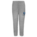 Outerstuff NCAA Youth Boys Columbia Lions Essential Fleece Pants