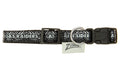 Zubaz X Pets First NFL Las Vegas Raiders Team Adjustable Dog Collar