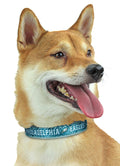 Zubaz X Pets First NFL Philadelphia Eagles Team Adjustable Dog Collar
